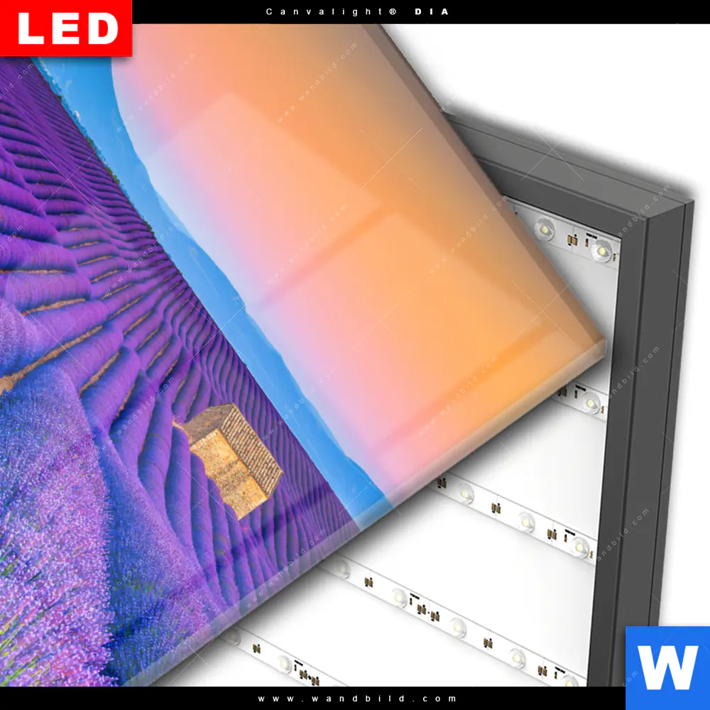 Wechselmotiv Acrylglas Canvalight® DIA | Lavendel Blumen Feld | Hochformat - Image 3