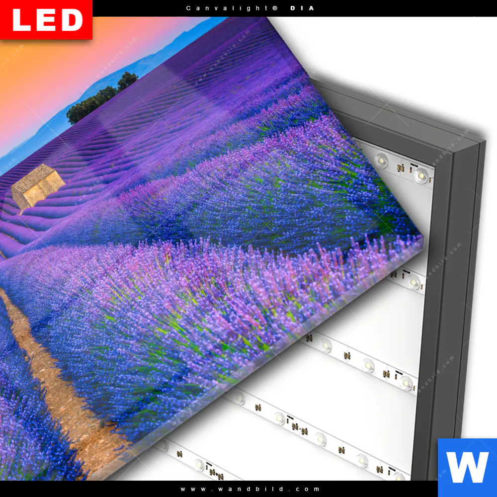 Wechselmotiv Acrylglas Canvalight® DIA | Lavendel Blumen Feld | Querformat - Image 3