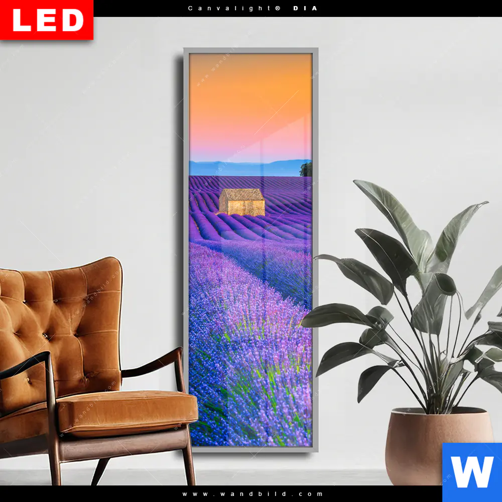 Wechselmotiv Acrylglas Canvalight® DIA | Lavendel Blumen Feld | Schmal