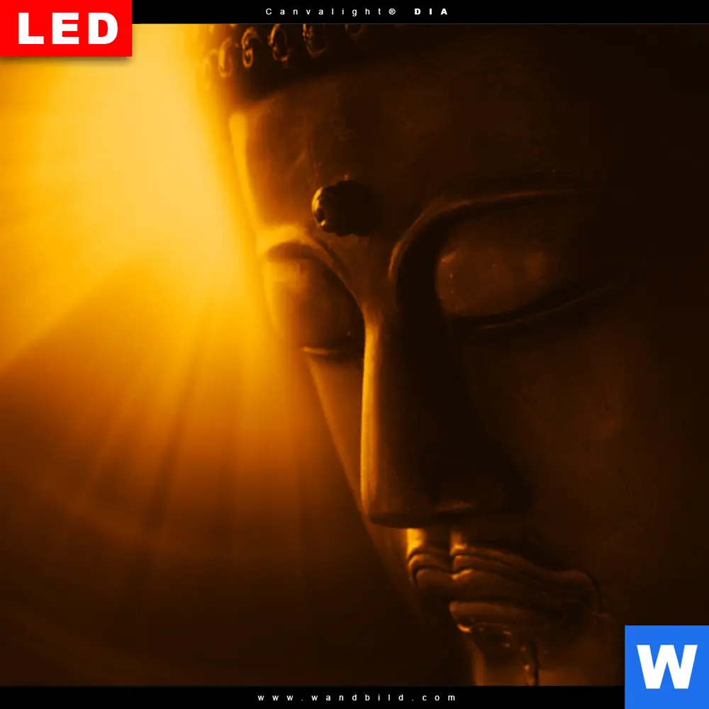 Wechselmotiv Acrylglas Canvalight® DIA | Licht der Weisheit | Panorama - Image 4