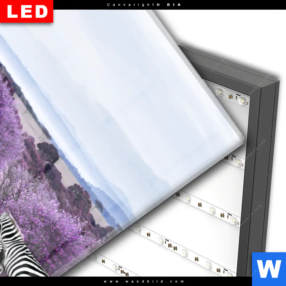 Wechselmotiv Acrylglas Canvalight® DIA | Lila Savanne | Hochformat - Image 3