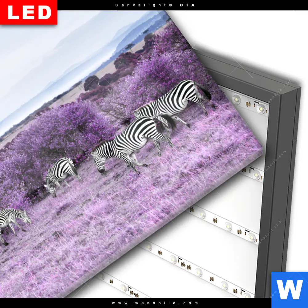 Wechselmotiv Acrylglas Canvalight® DIA | Lila Savanne | Querformat - Image 3