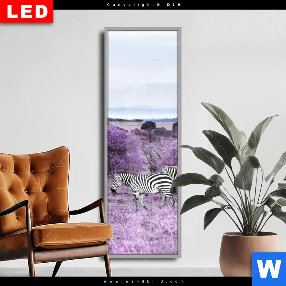 Wechselmotiv Acrylglas Canvalight® DIA | Lila Savanne | Schmal