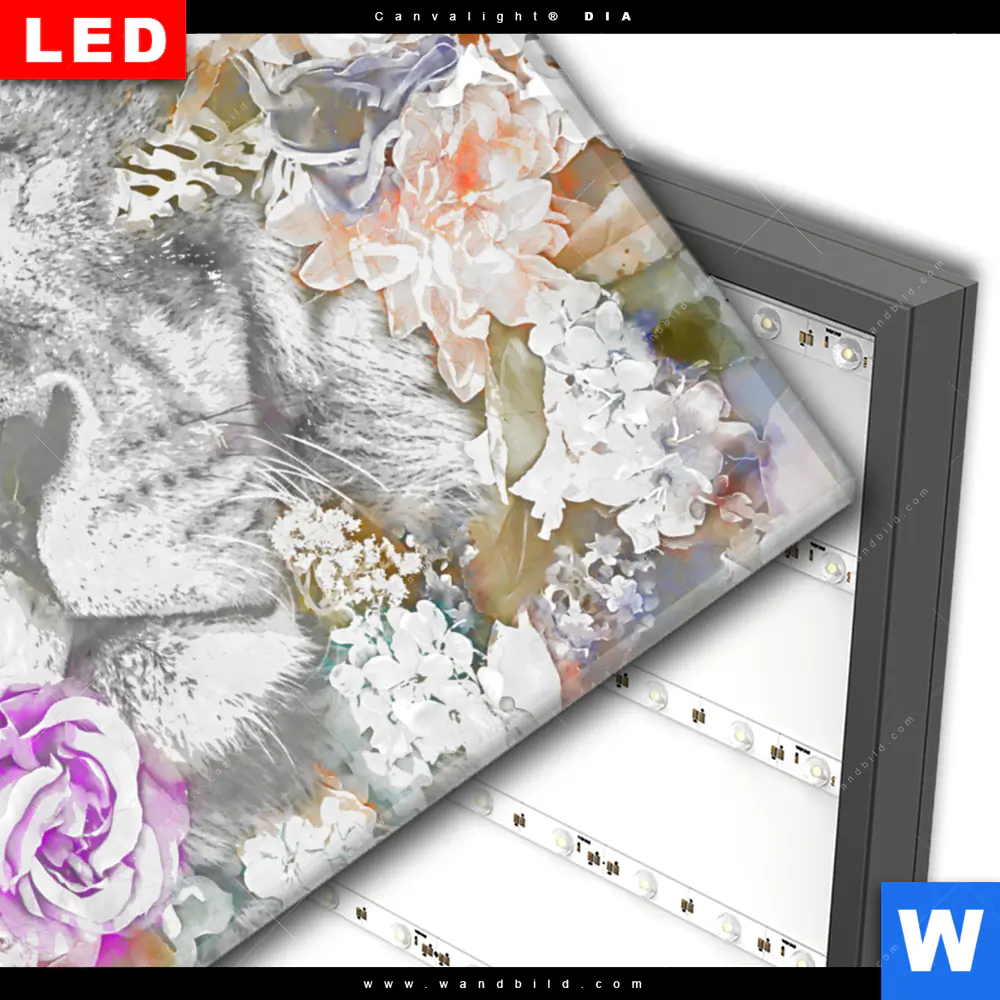 Wechselmotiv Acrylglas Canvalight® DIA | Löwe & Blumen | Querformat - Image 3