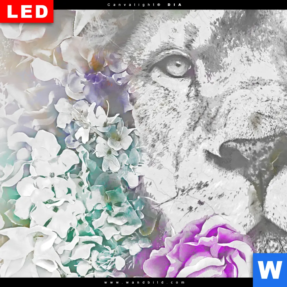 Wechselmotiv Acrylglas Canvalight® DIA | Löwe & Blumen | Querformat - Image 4