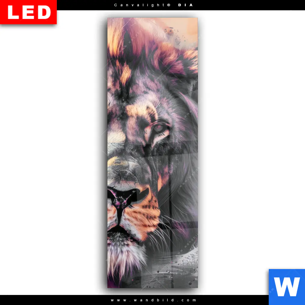 Wechselmotiv Acrylglas Canvalight® DIA | Löwe im Farbensturm | Schmal - Image 2