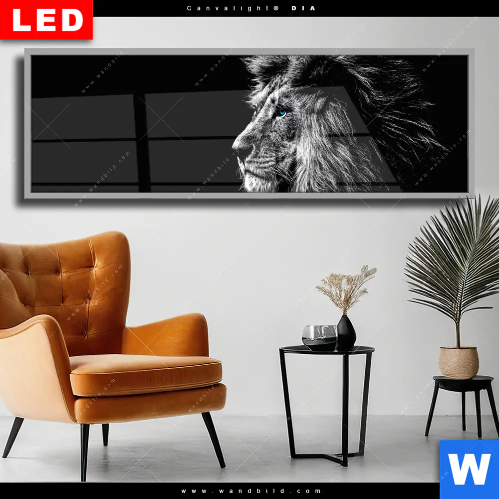 Wechselmotiv Acrylglas Canvalight® DIA | Löwe mit blauen Augen | Panorama