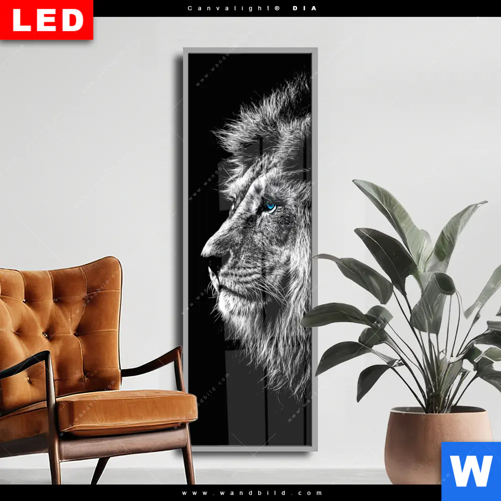 Wechselmotiv Acrylglas Canvalight® DIA | Löwe mit blauen Augen | Schmal
