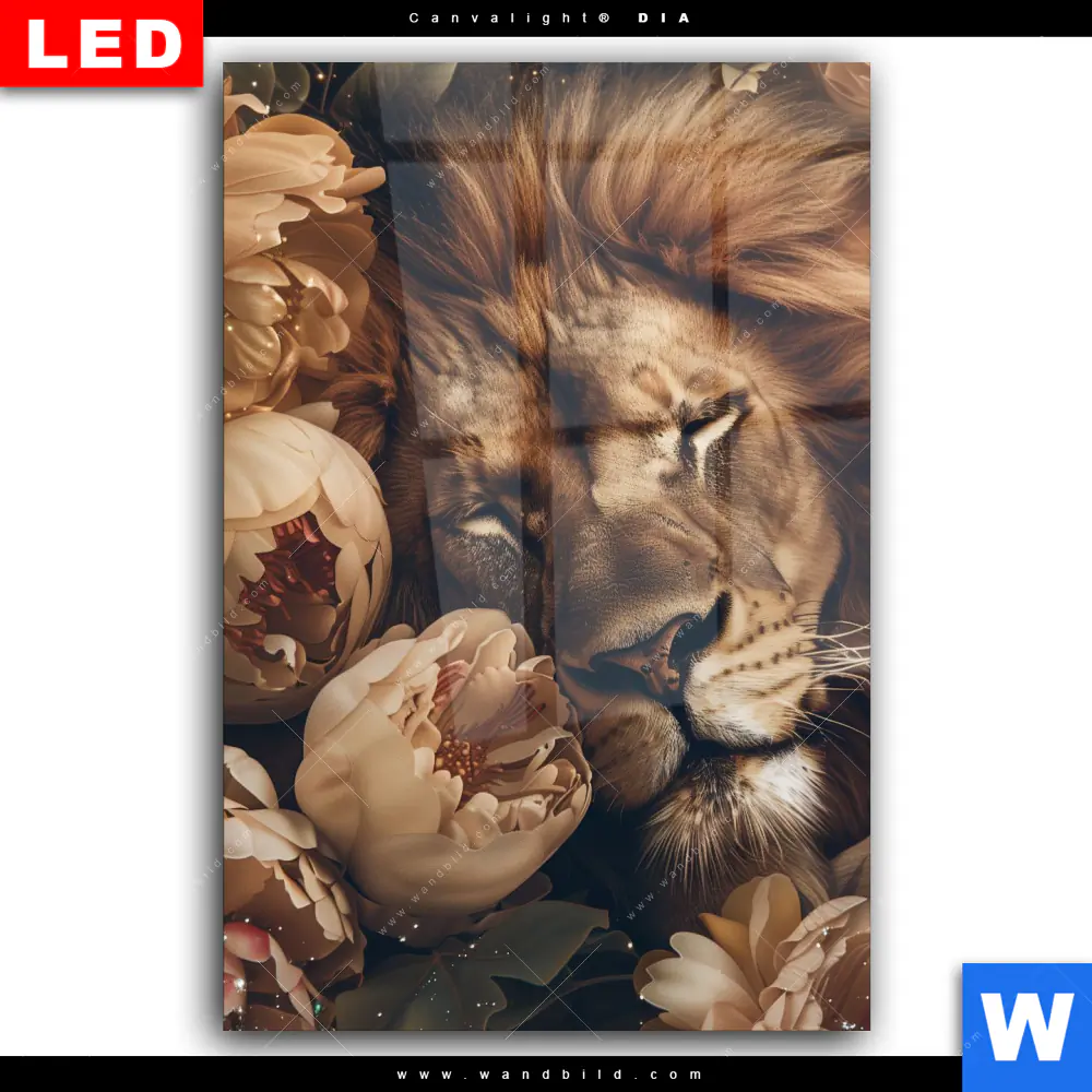 Wechselmotiv Acrylglas Canvalight® DIA | Löwe schläft in Blüten | Hochformat - Image 2