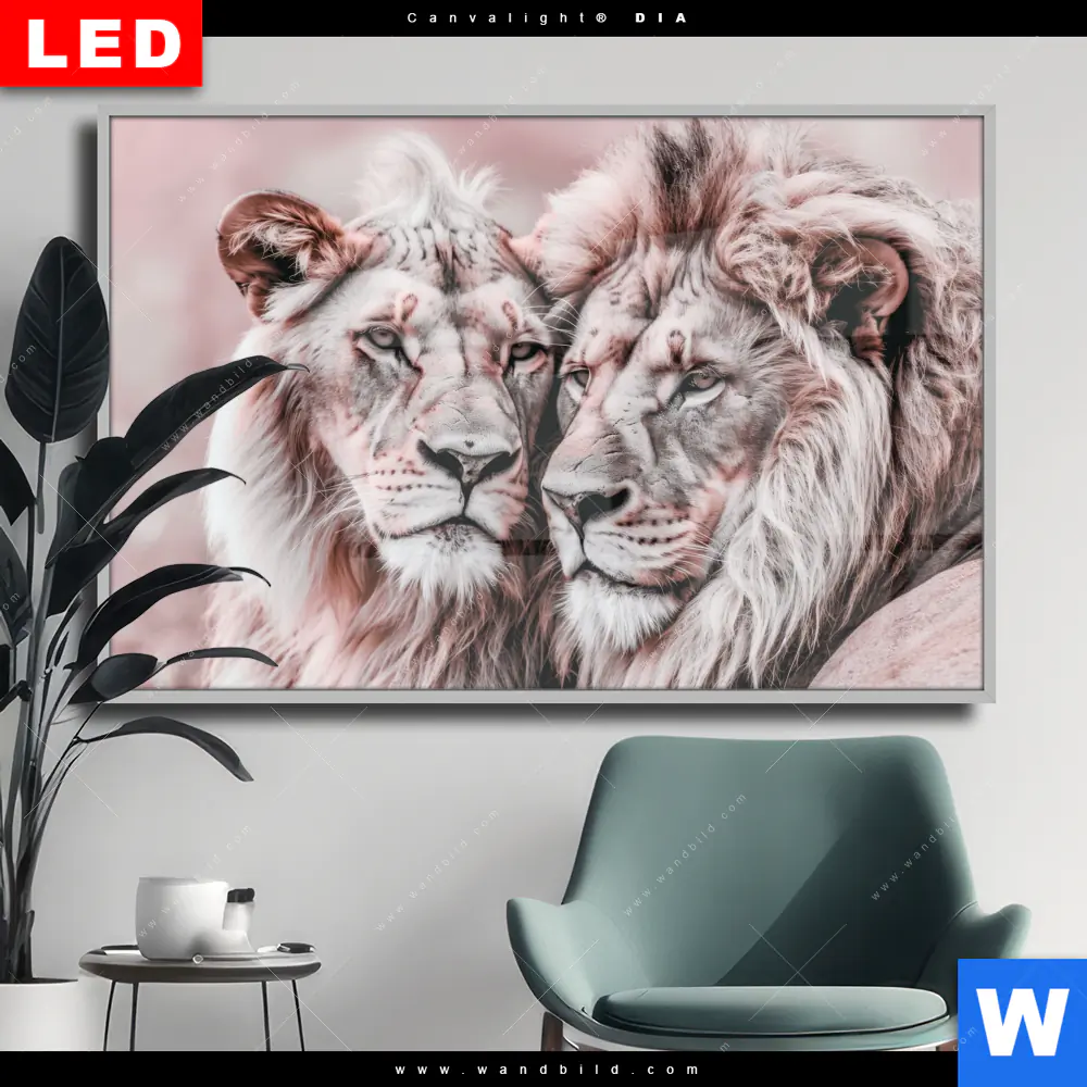 Wechselmotiv Acrylglas Canvalight® DIA | Löwen - Harmonie in Pastell | Querformat