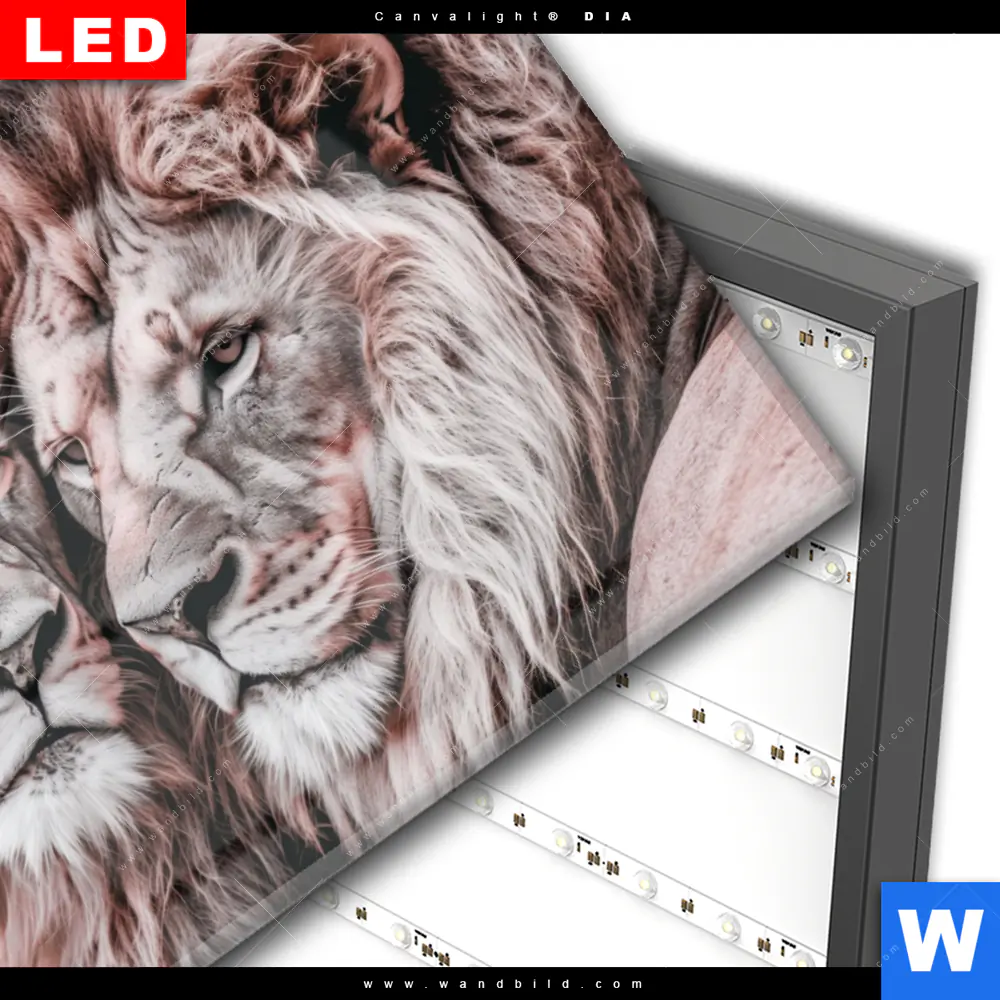 Wechselmotiv Acrylglas Canvalight® DIA | Löwen - Harmonie in Pastell | Querformat - Image 3