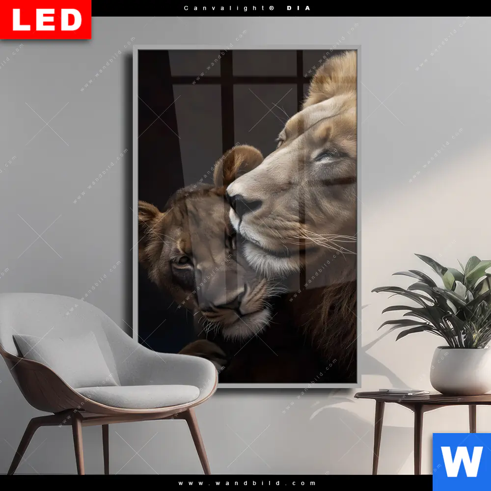 Wechselmotiv Acrylglas Canvalight® DIA | Löwen - Stärke und Zärtlichkeit | Hochformat