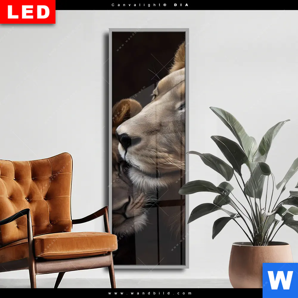 Wechselmotiv Acrylglas Canvalight® DIA | Löwen - Stärke und Zärtlichkeit | Schmal