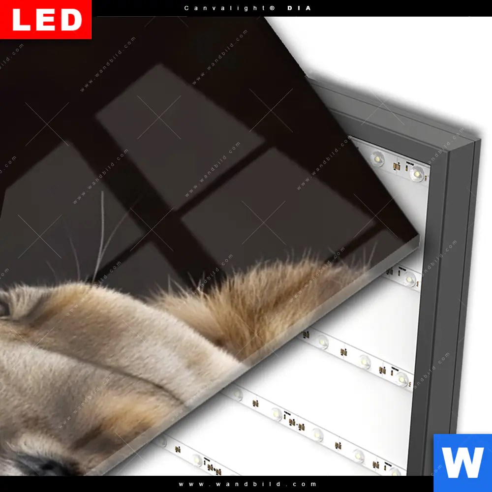 Wechselmotiv Acrylglas Canvalight® DIA | Löwen - Stärke und Zärtlichkeit | Schmal - Image 3