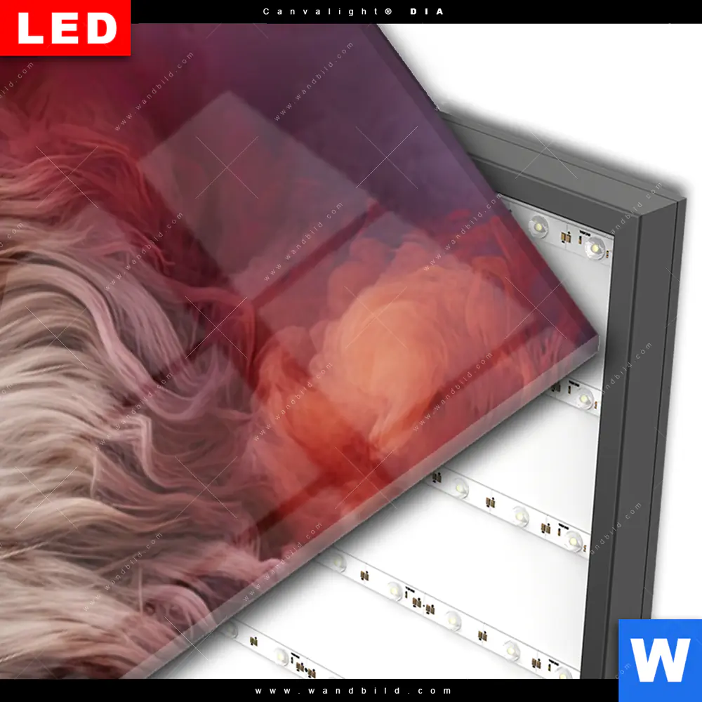 Wechselmotiv Acrylglas Canvalight® DIA | Löwengesicht in buntem Rauch | Panorama - Image 3