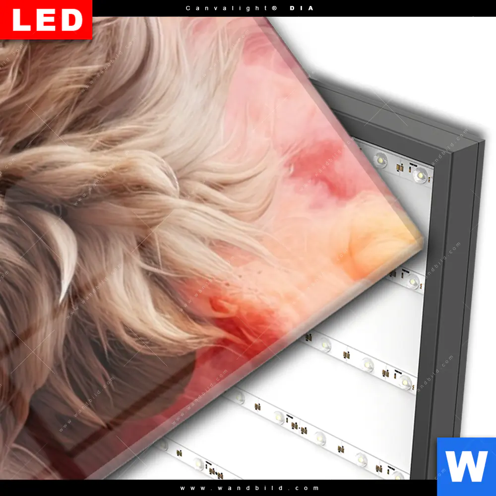 Wechselmotiv Acrylglas Canvalight® DIA | Löwengesicht in buntem Rauch | Schmal - Image 3