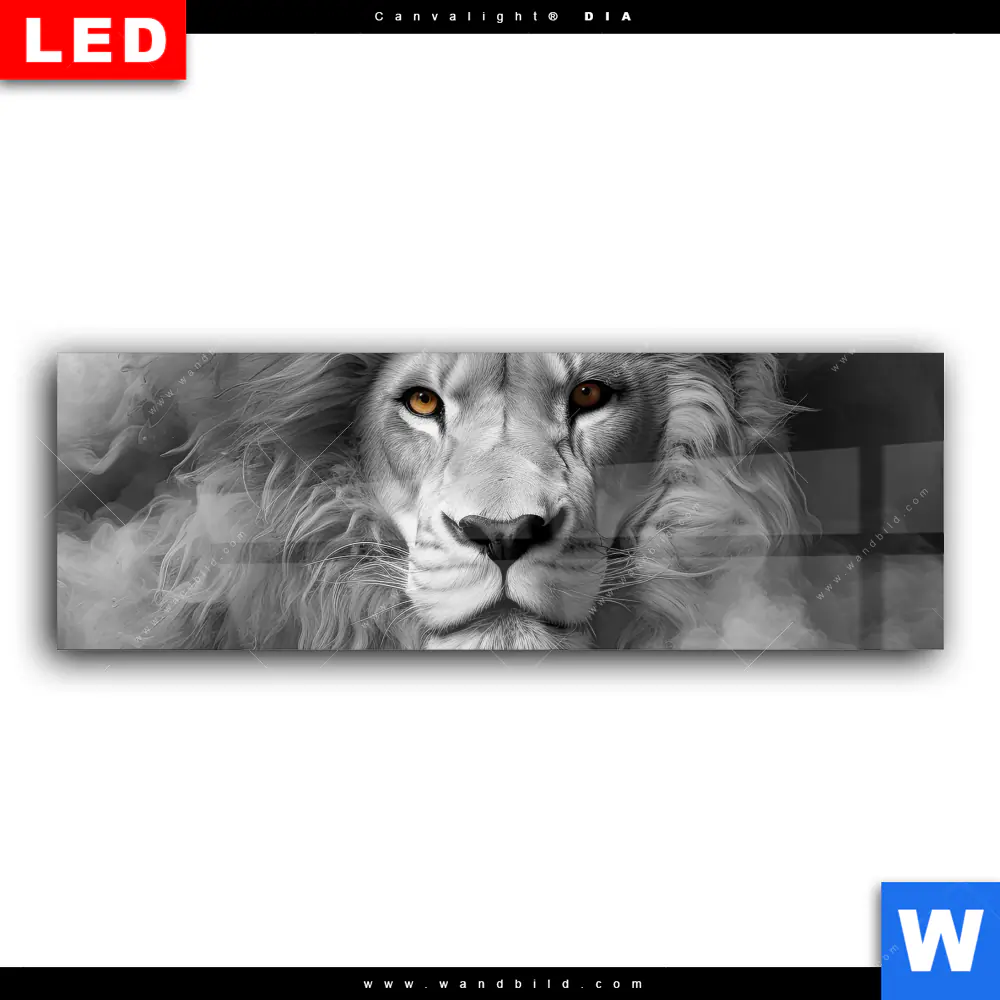 Wechselmotiv Acrylglas Canvalight® DIA | Löwengesicht in Rauch | Panorama - Image 2