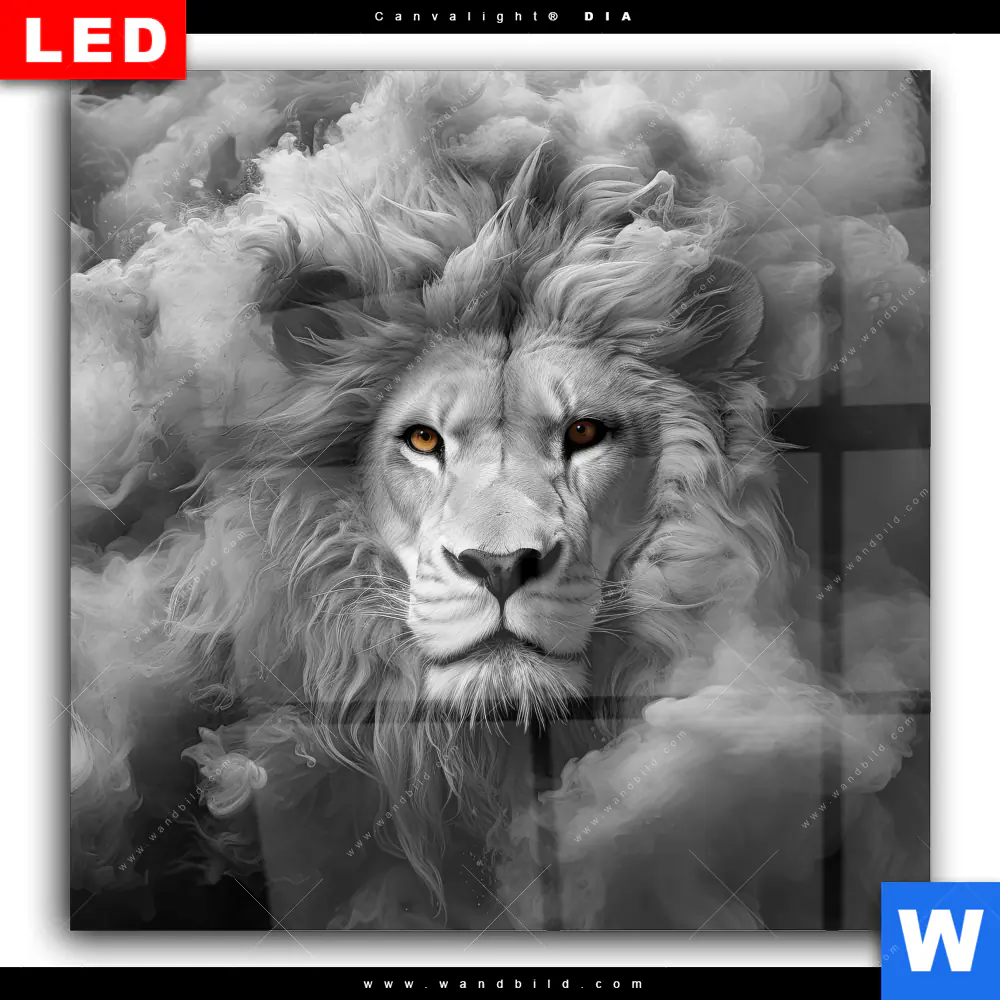 Wechselmotiv Acrylglas Canvalight® DIA | Löwengesicht in Rauch | Quadrat - Image 2