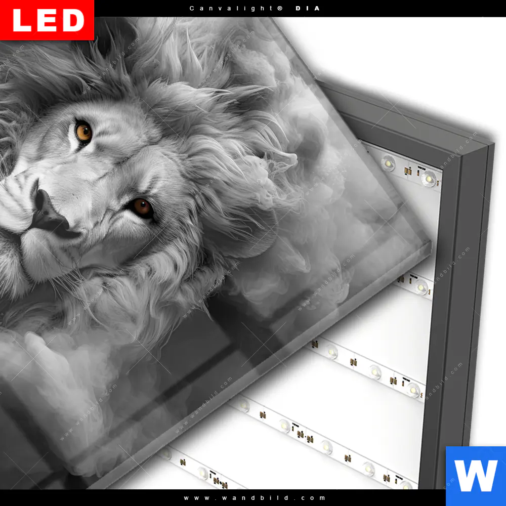 Wechselmotiv Acrylglas Canvalight® DIA | Löwengesicht in Rauch | Quadrat - Image 3