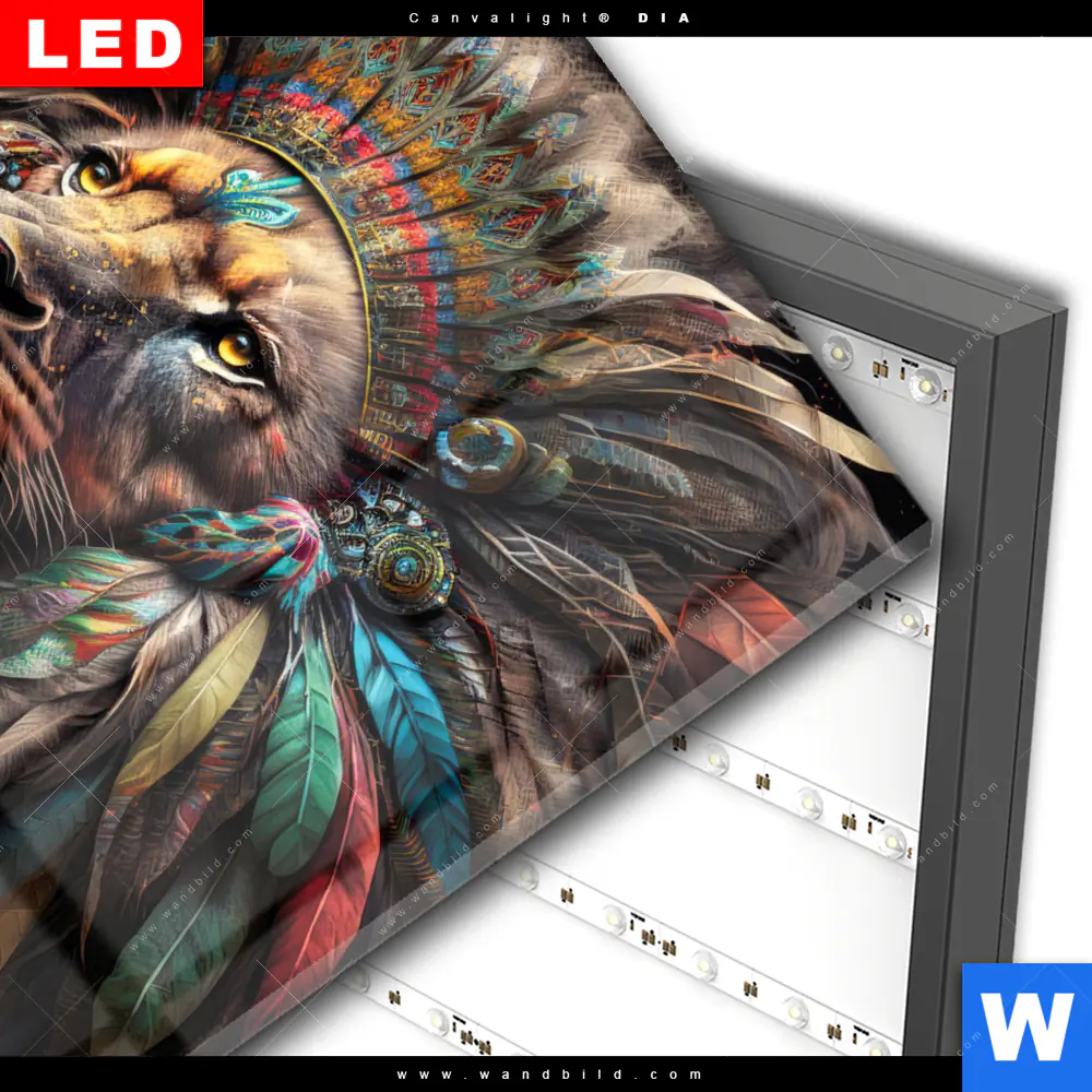 Wechselmotiv Acrylglas Canvalight® DIA | Löwenkopf mit bunten Federn | Quadrat - Image 3
