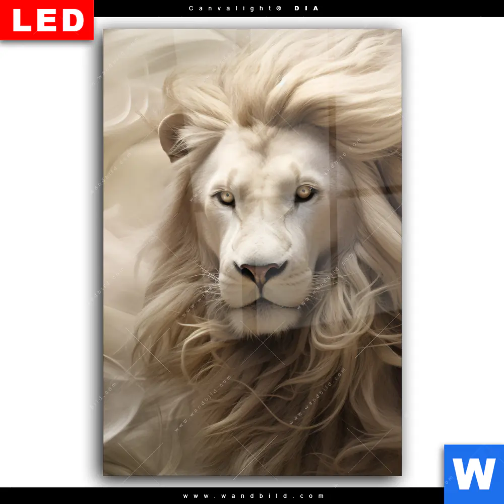 Wechselmotiv Acrylglas Canvalight® DIA | Löwenkopf mit weißer Mähne | Hochformat - Image 2