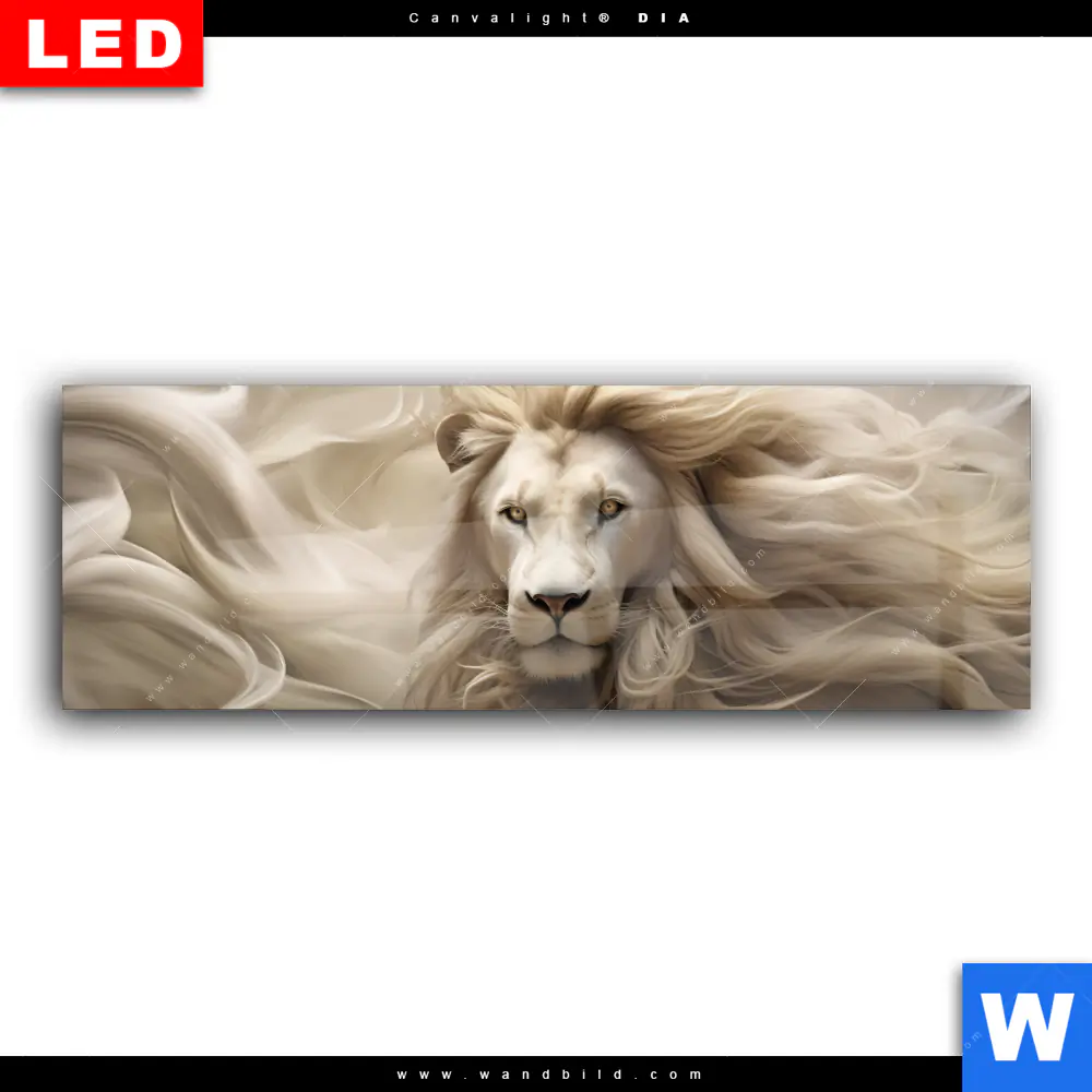 Wechselmotiv Acrylglas Canvalight® DIA | Löwenkopf mit weißer Mähne | Panorama - Image 2