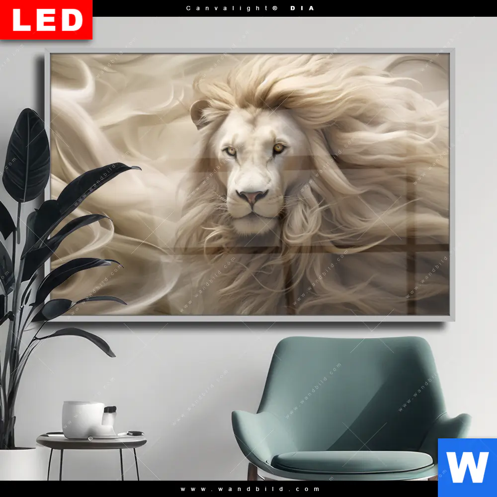 Wechselmotiv Acrylglas Canvalight® DIA | Löwenkopf mit weißer Mähne | Querformat