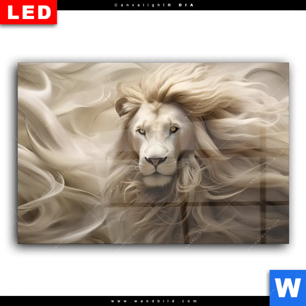 Wechselmotiv Acrylglas Canvalight® DIA | Löwenkopf mit weißer Mähne | Querformat - Image 2
