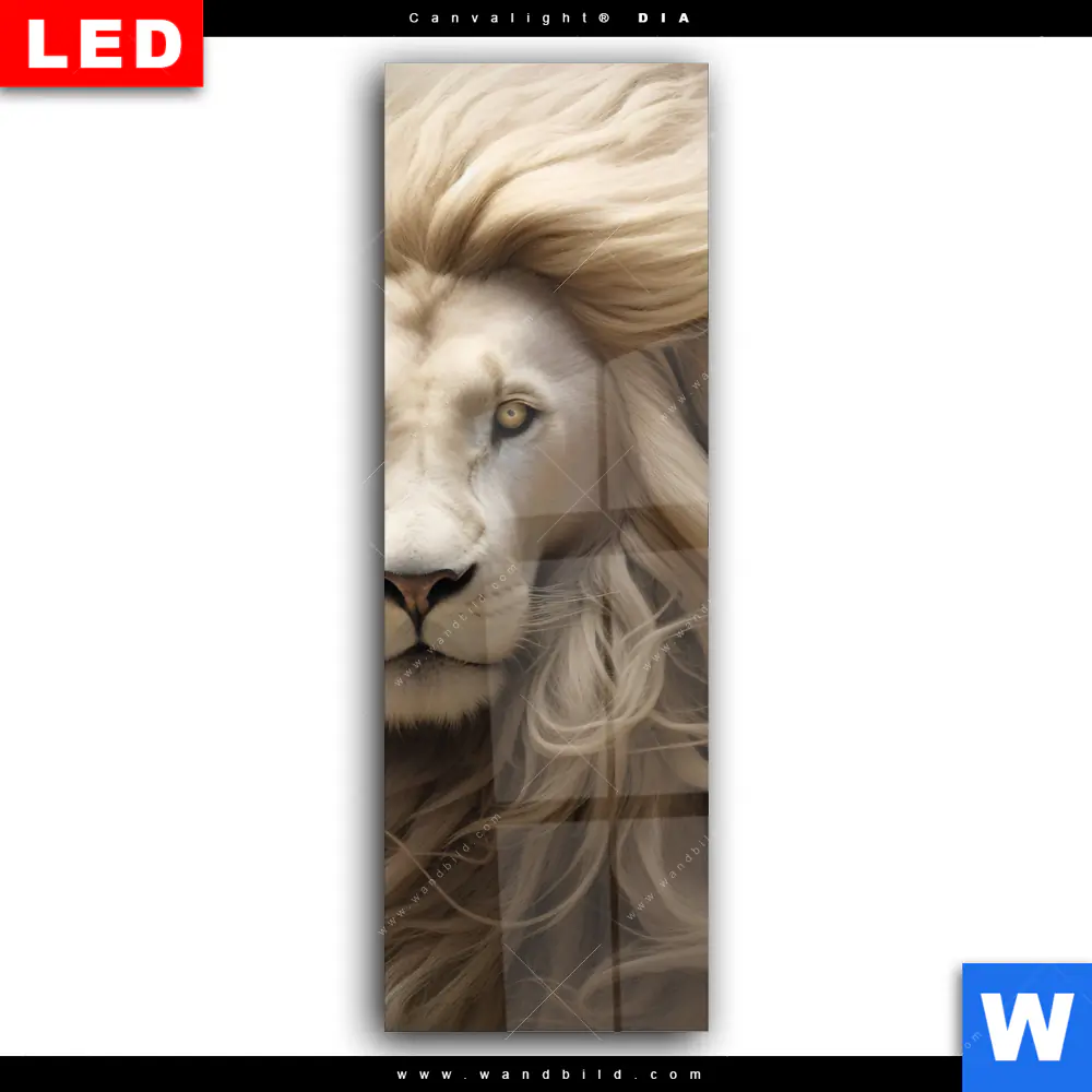 Wechselmotiv Acrylglas Canvalight® DIA | Löwenkopf mit weißer Mähne | Schmal - Image 2