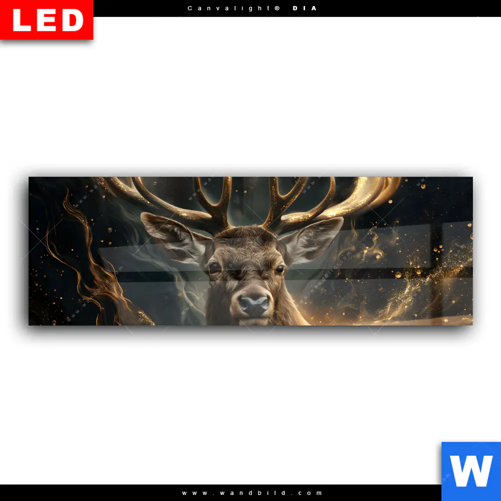 Wechselmotiv Acrylglas Canvalight® DIA | Magischer Hirsch im Sternenlicht | Panorama - Image 2