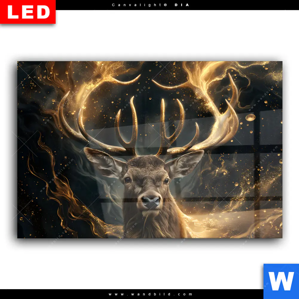 Wechselmotiv Acrylglas Canvalight® DIA | Magischer Hirsch im Sternenlicht | Querformat - Image 2