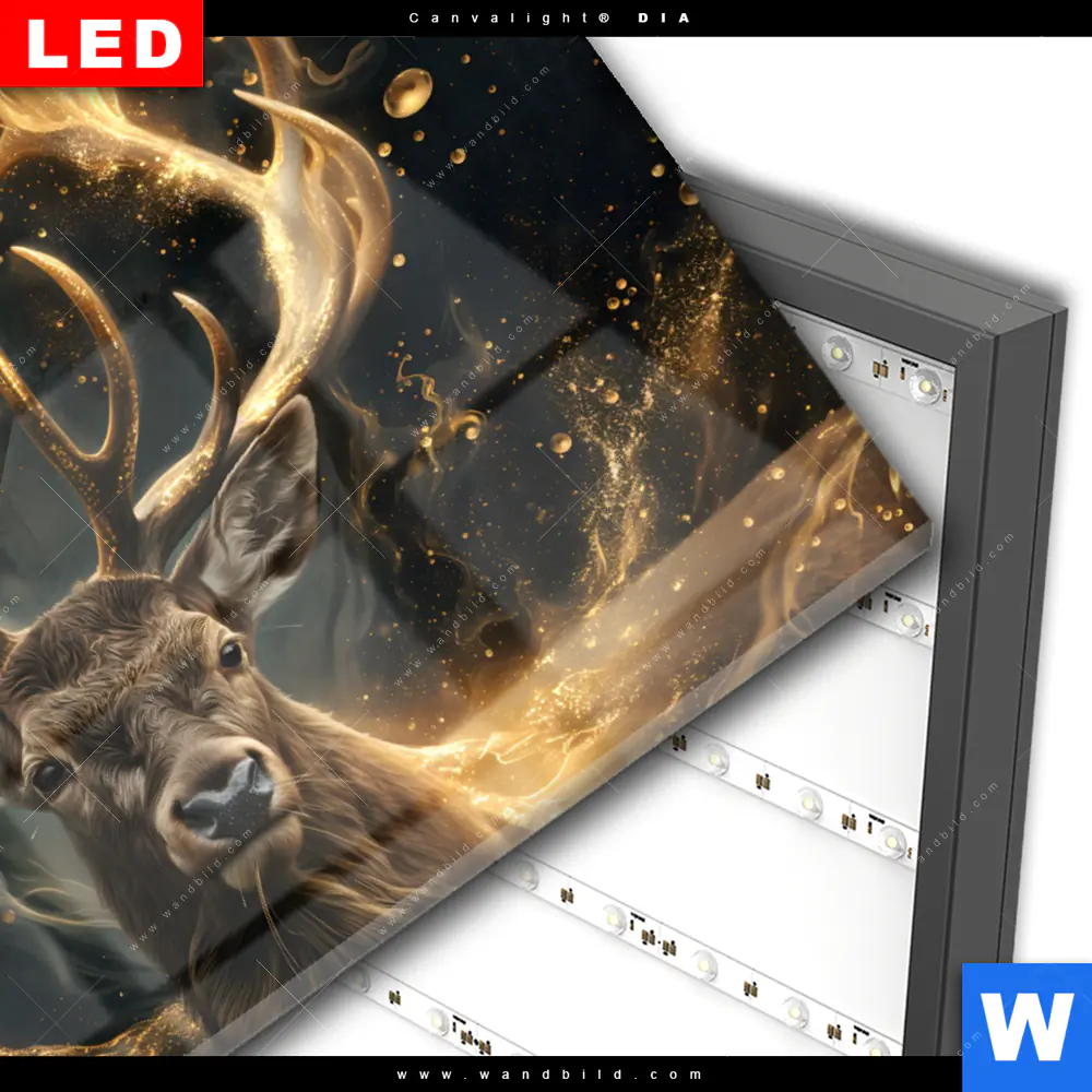 Wechselmotiv Acrylglas Canvalight® DIA | Magischer Hirsch im Sternenlicht | Querformat - Image 3