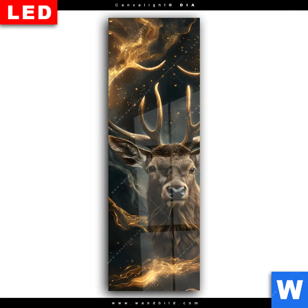 Wechselmotiv Acrylglas Canvalight® DIA | Magischer Hirsch im Sternenlicht | Schmal - Image 2