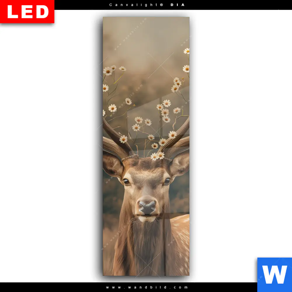 Wechselmotiv Acrylglas Canvalight® DIA | Magischer Hirsch im Waldrand | Schmal - Image 2