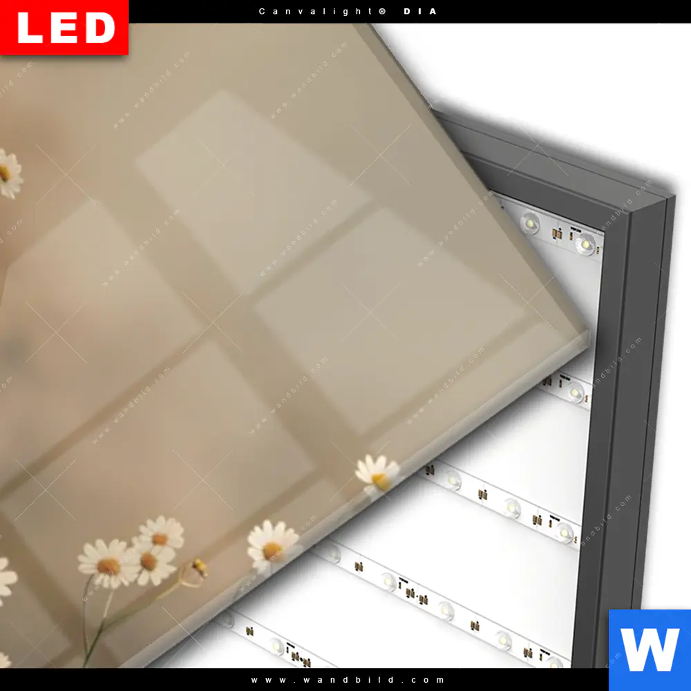 Wechselmotiv Acrylglas Canvalight® DIA | Magischer Hirsch im Waldrand | Schmal - Image 3