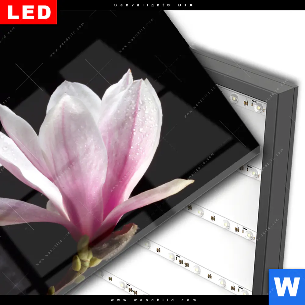 Wechselmotiv Acrylglas Canvalight® DIA | Magnolien & Zen Steine | Hochformat - Image 3