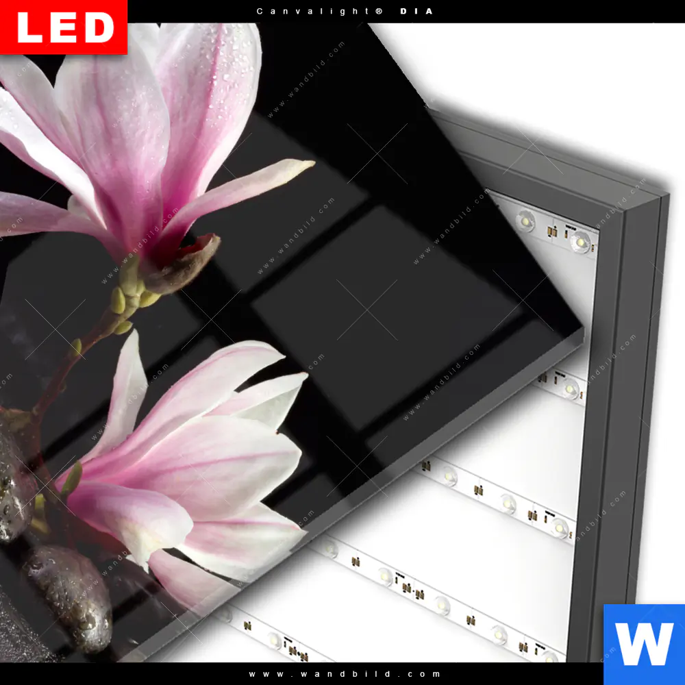 Wechselmotiv Acrylglas Canvalight® DIA | Magnolien & Zen Steine | Quadrat - Image 3