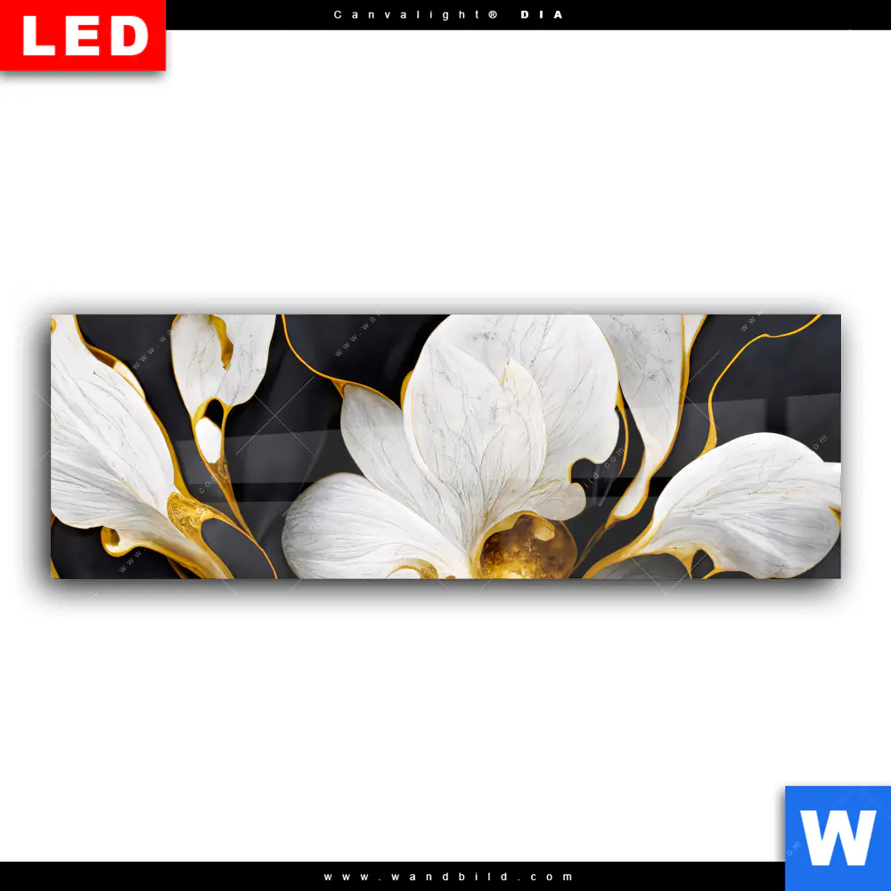 Wechselmotiv Acrylglas Canvalight® DIA | Marmor Blüten in weiß & gold | Panorama - Image 2