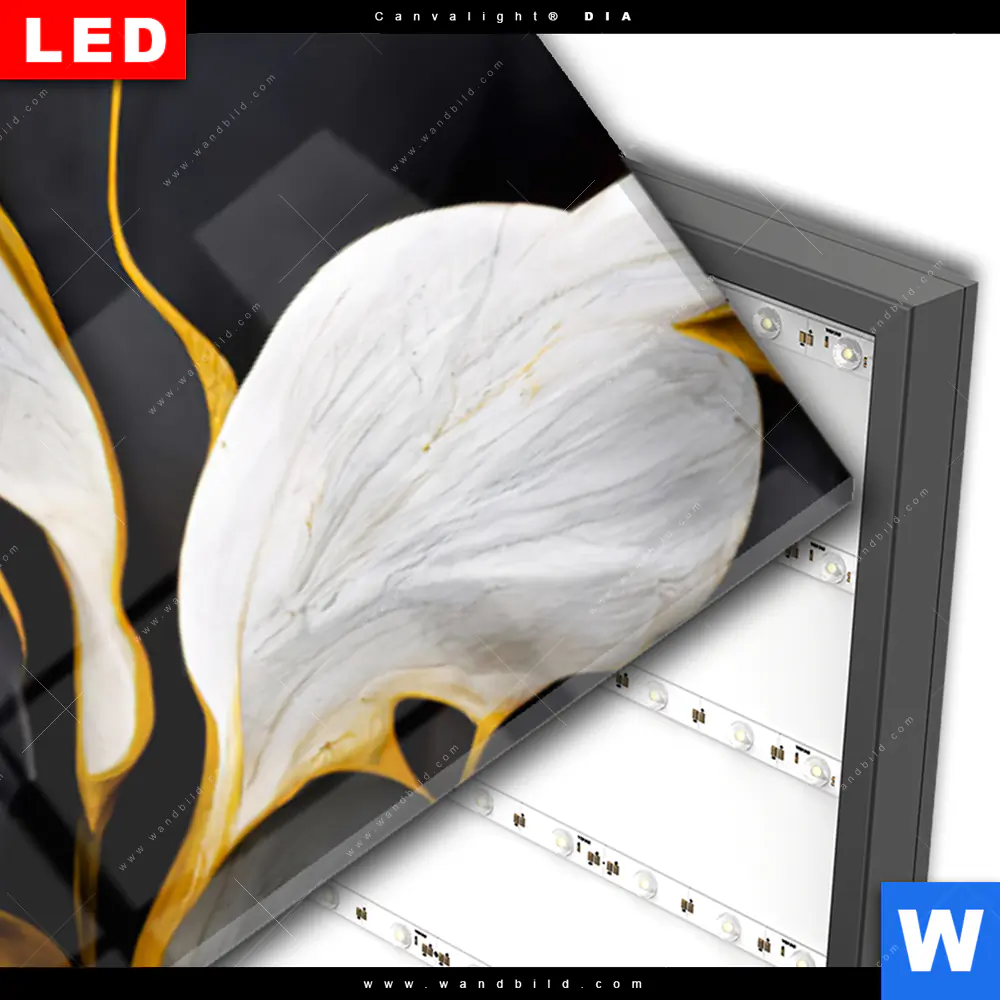 Wechselmotiv Acrylglas Canvalight® DIA | Marmor Blüten in weiß & gold | Panorama - Image 3