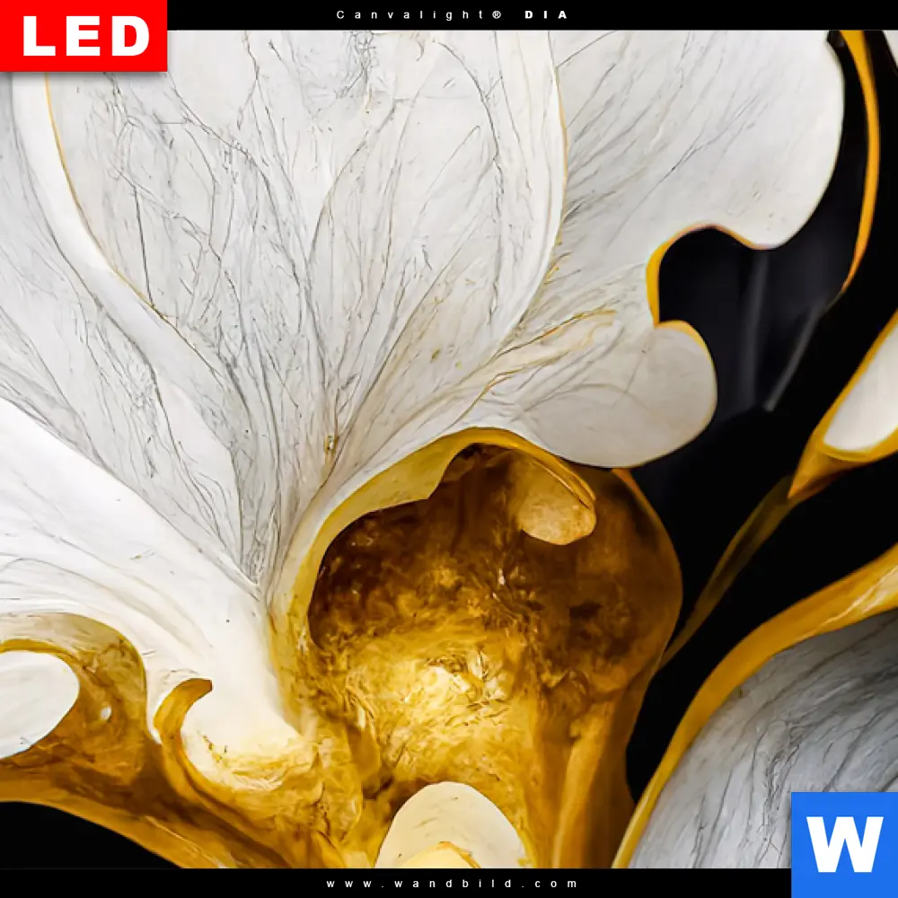 Wechselmotiv Acrylglas Canvalight® DIA | Marmor Blüten in weiß & gold | Panorama - Image 4