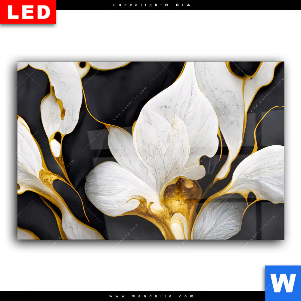 Wechselmotiv Acrylglas Canvalight® DIA | Marmor Blüten in weiß & gold | Querformat - Image 2