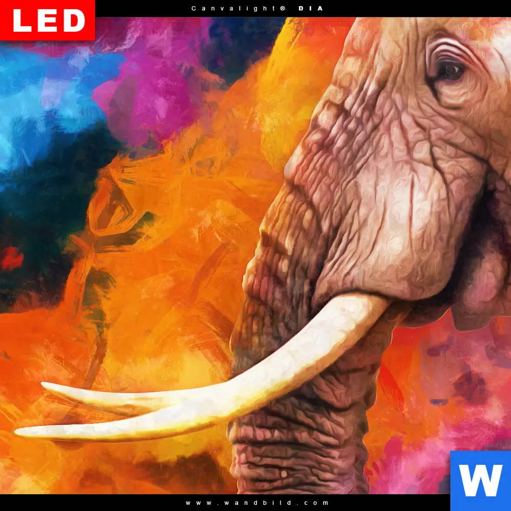 Wechselmotiv Acrylglas Canvalight® DIA | Moderner Bunter Elefant | Hochformat - Image 4