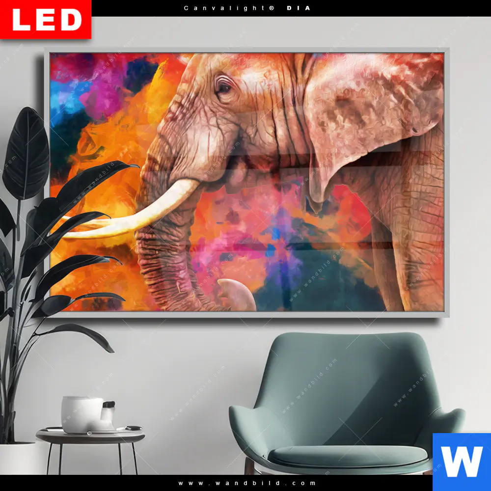 Wechselmotiv Acrylglas Canvalight® DIA | Moderner Bunter Elefant | Querformat