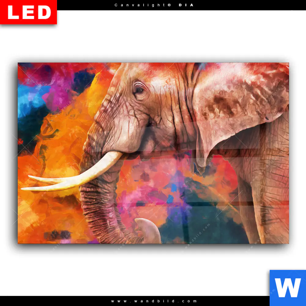 Wechselmotiv Acrylglas Canvalight® DIA | Moderner Bunter Elefant | Querformat - Image 2