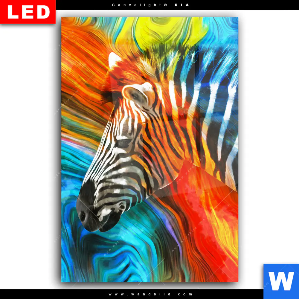 Wechselmotiv Acrylglas Canvalight® DIA | Modernes Buntes Zebra | Hochformat - Image 2