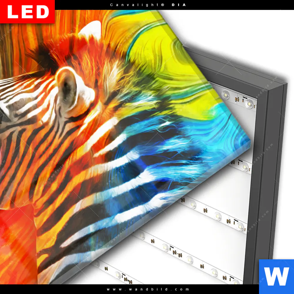 Wechselmotiv Acrylglas Canvalight® DIA | Modernes Buntes Zebra | Hochformat - Image 3