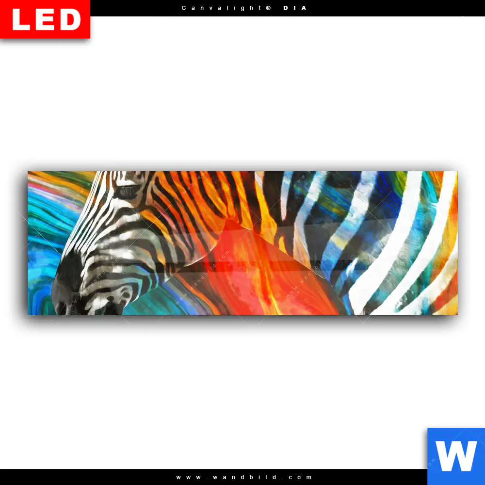 Wechselmotiv Acrylglas Canvalight® DIA | Modernes Buntes Zebra | Panorama - Image 2