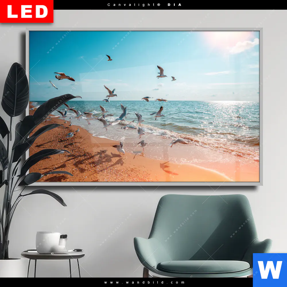 Wechselmotiv Acrylglas Canvalight® DIA | Möwen am Strand | Querformat