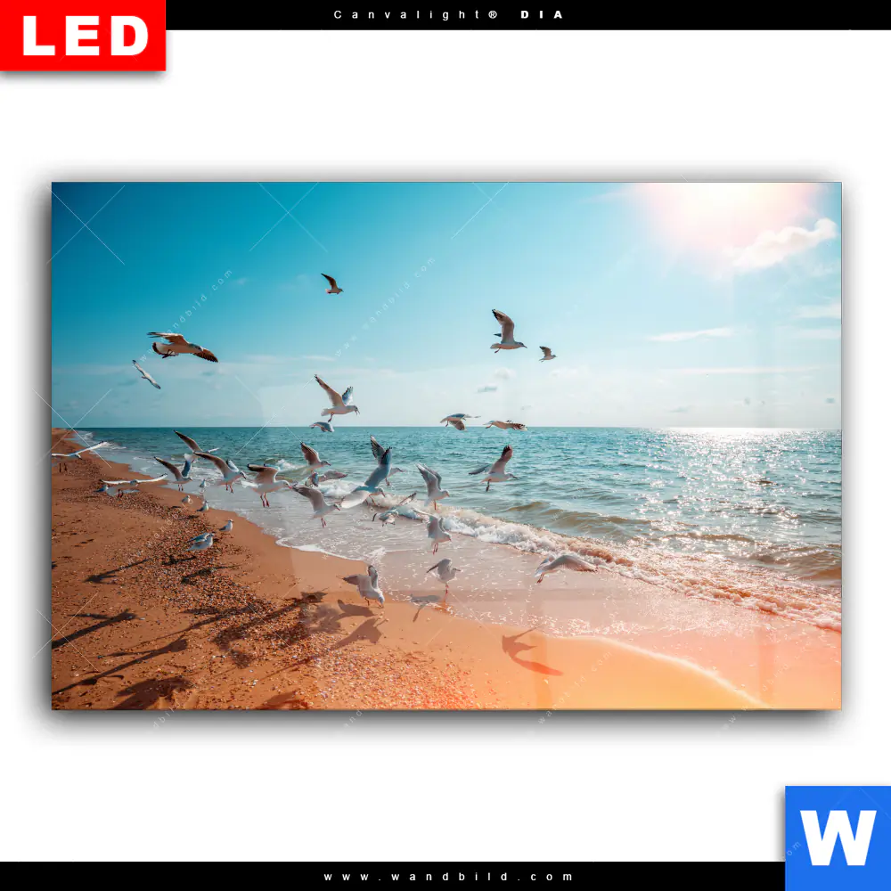 Wechselmotiv Acrylglas Canvalight® DIA | Möwen am Strand | Querformat - Image 2