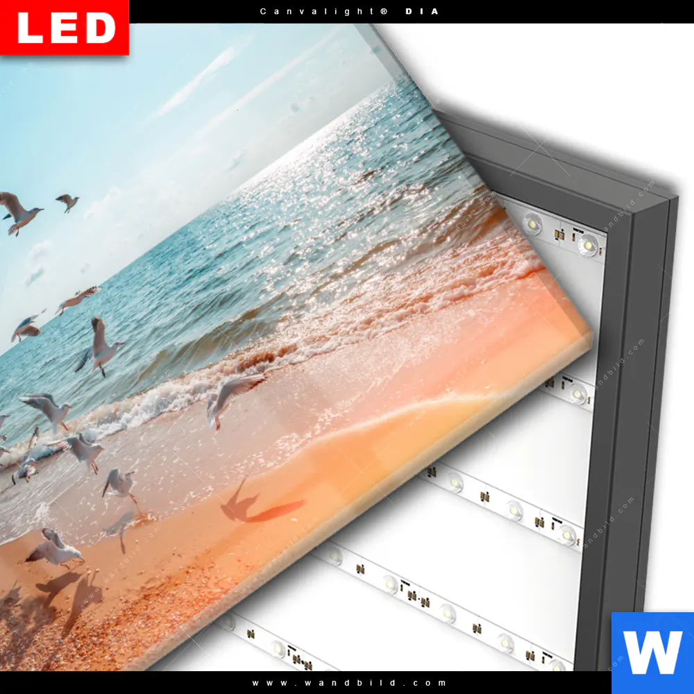 Wechselmotiv Acrylglas Canvalight® DIA | Möwen am Strand | Querformat - Image 3